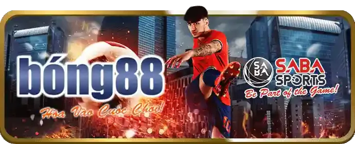 Chi tiết ưu đãi độc quyền 88e
